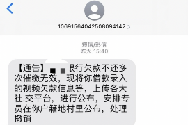 东明遇到恶意拖欠？专业追讨公司帮您解决烦恼